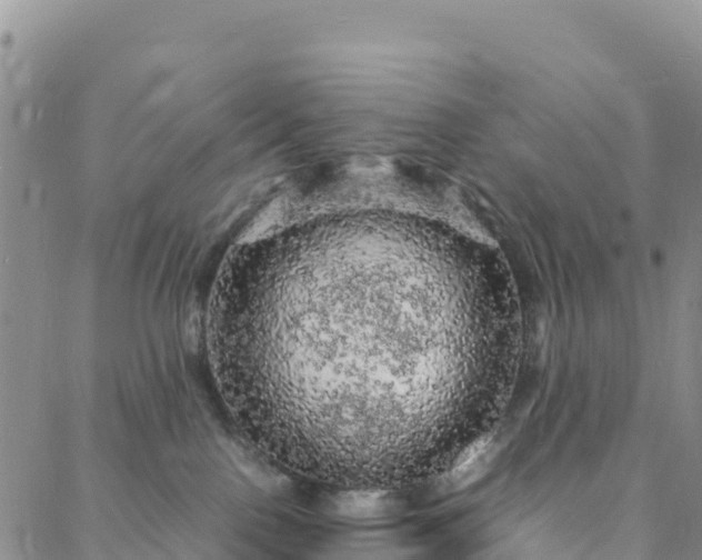 X0000088030090200705182036