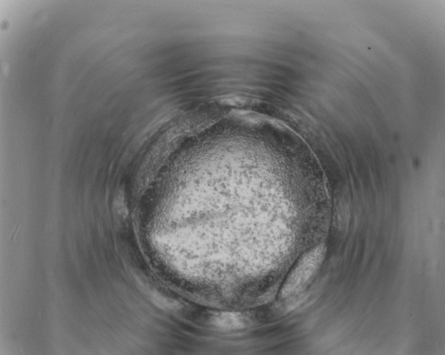 X0000088030091200705182036