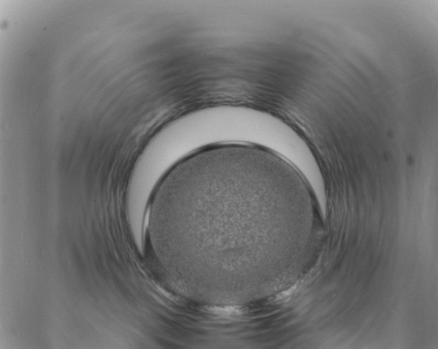 X0000088030093200705182036