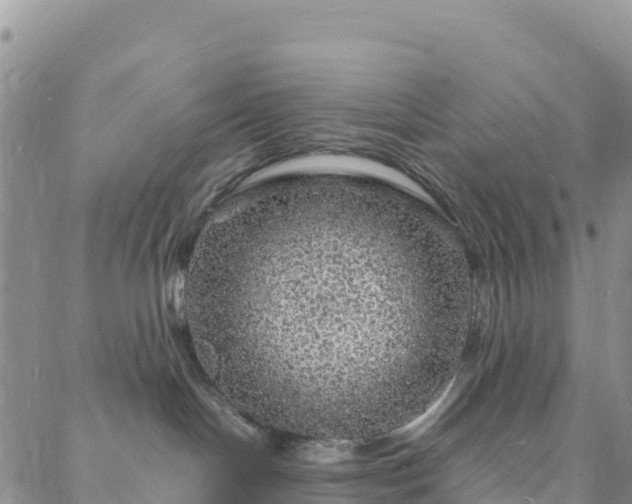 X0000088030094200705182036