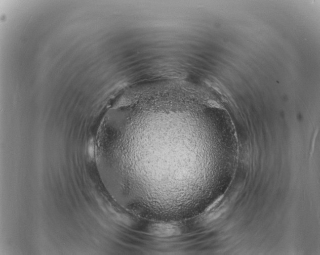 X0000088030095200705182036