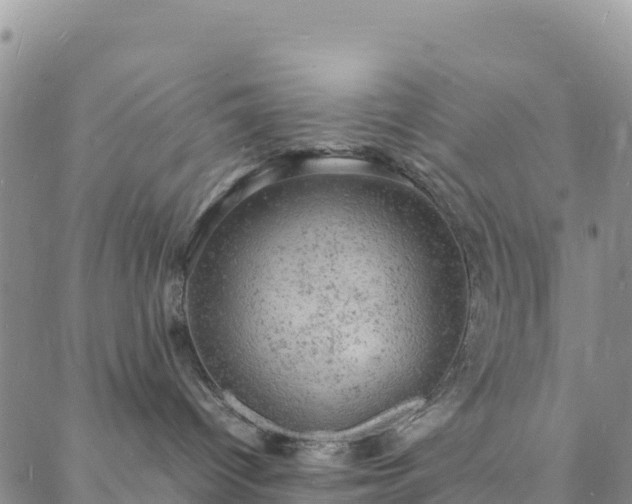 X0000088030096200705182036