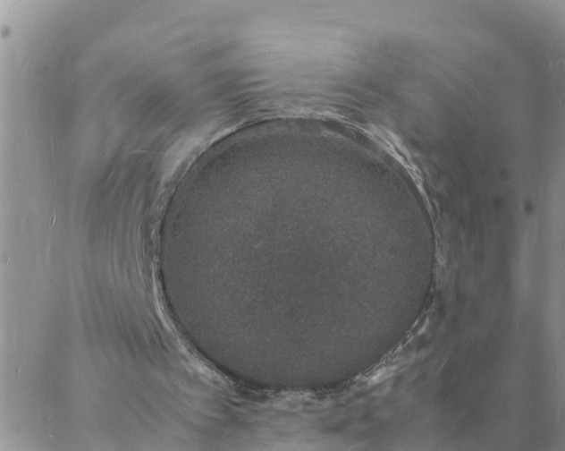 X0000088030097200705182035