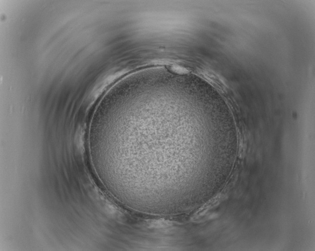 X0000088030098200705182035