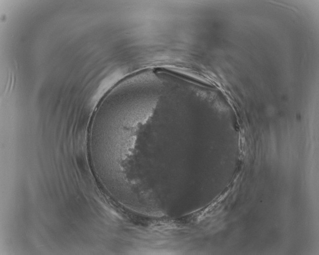 X0000088030099200705182035