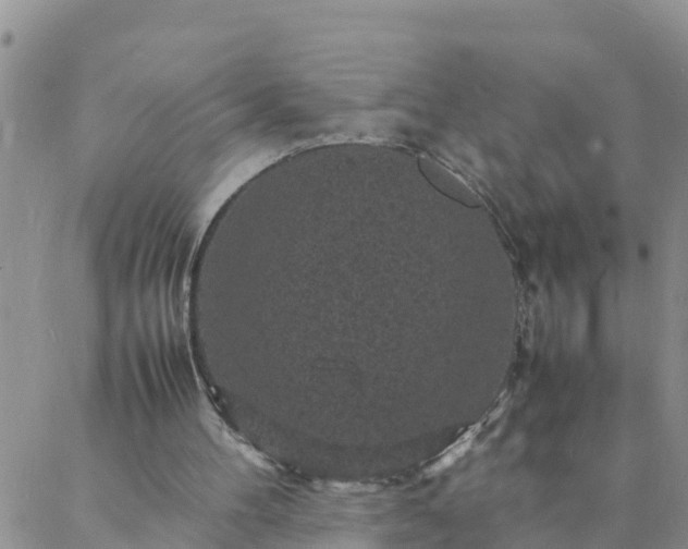 X0000088030100200705182035