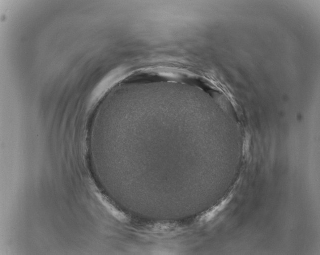 X0000088030101200705182035