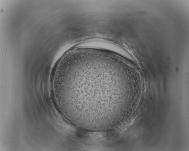 X0000088030102200705182035