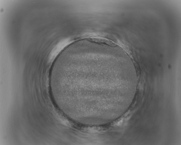 X0000088030103200705182035