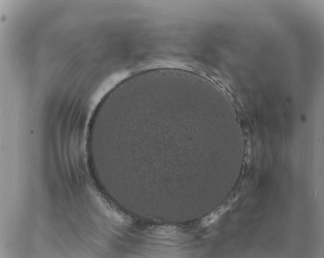 X0000088030104200705182035