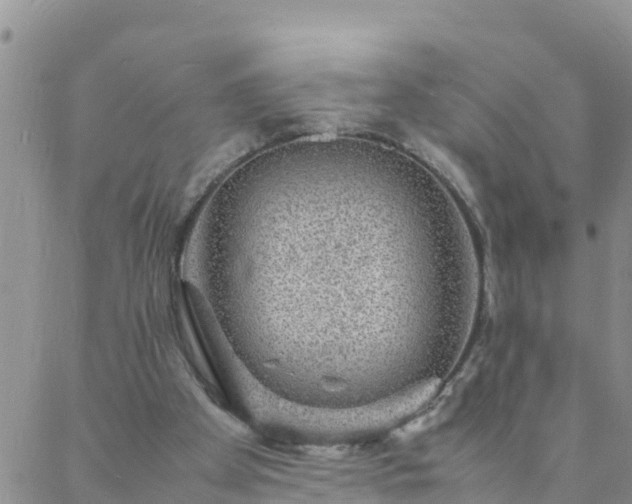 X0000088030105200705182035