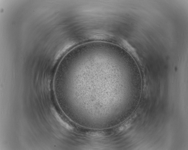 X0000088030106200705182035