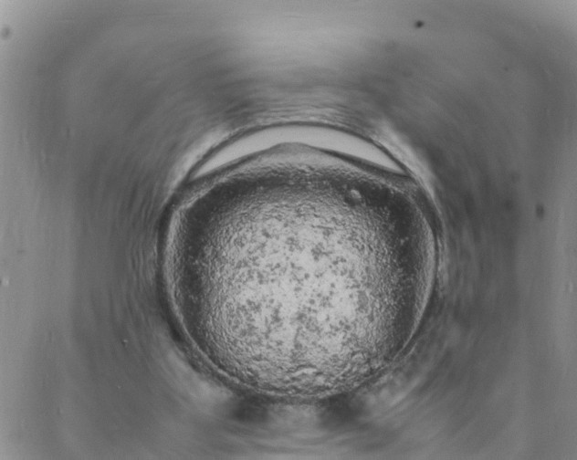 X0000088030107200705182035