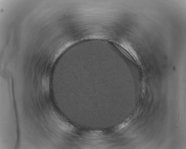 X0000088030108200705182035