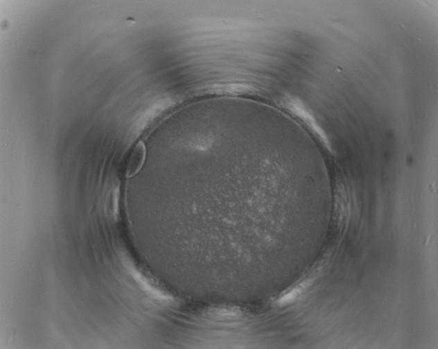 X0000088030110200705182035