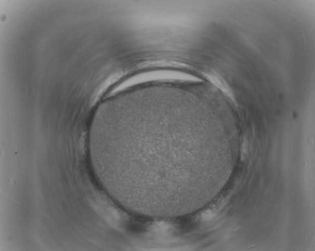 X0000088030111200705182035