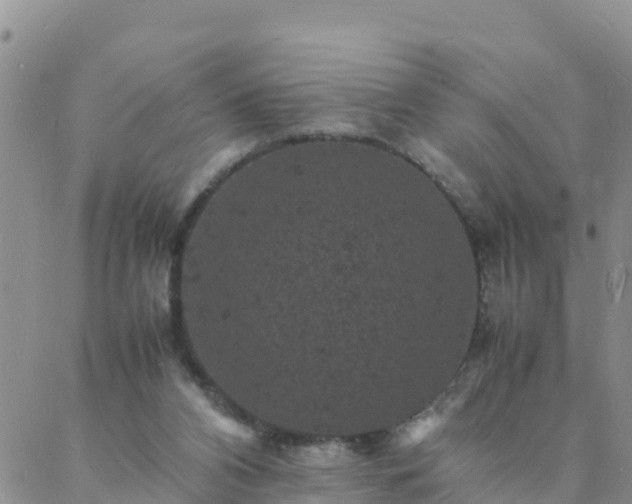 X0000088030112200705182035