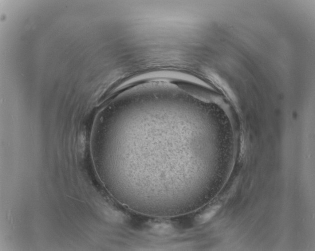 X0000088030113200705182035