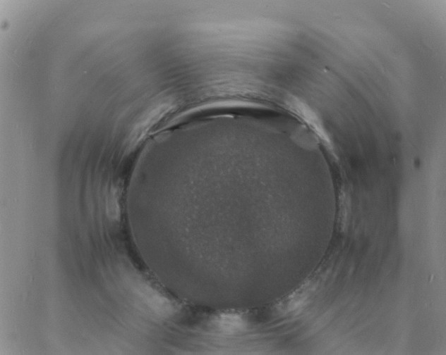 X0000088030114200705182035