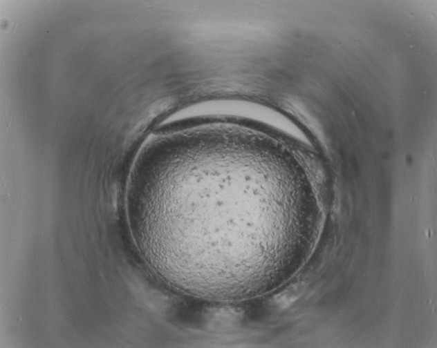 X0000088030115200705182035