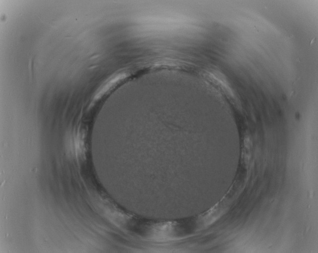 X0000088030116200705182035