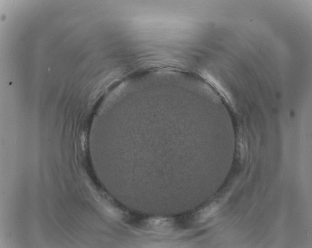 X0000088030117200705182035