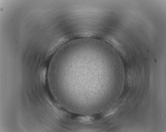 X0000088030118200705182035