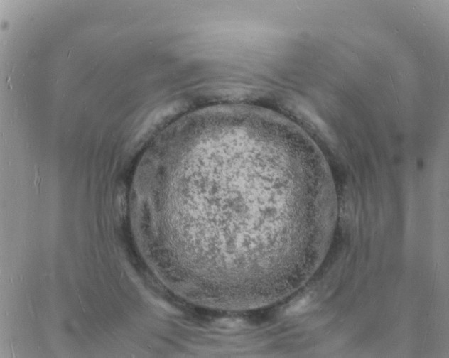 X0000088030119200705182035