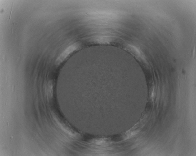 X0000088030120200705182035