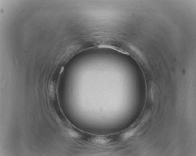 X0000088030121200705182035