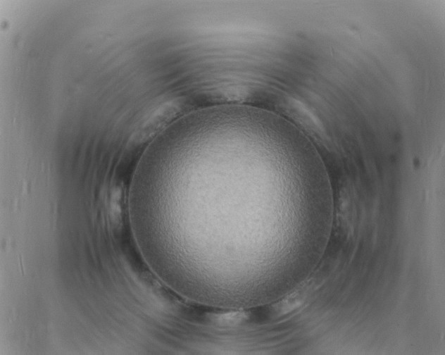 X0000088030122200705182035