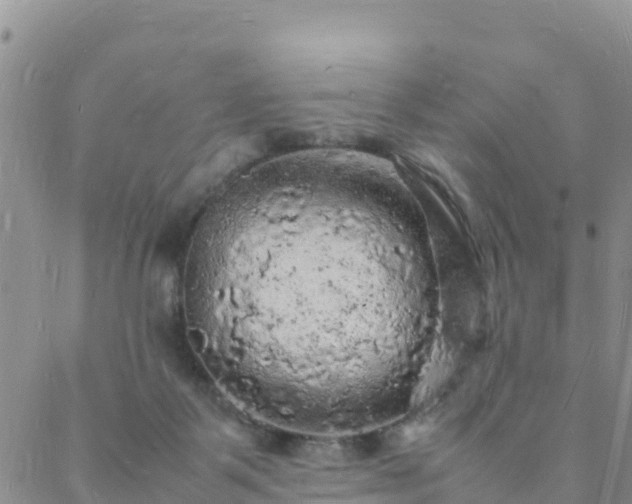 X0000088030123200705182035