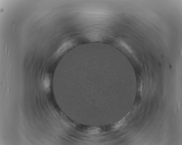 X0000088030124200705182035