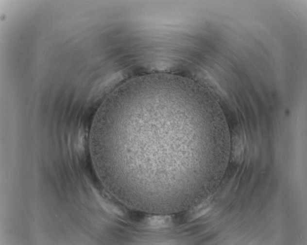 X0000088030126200705182035