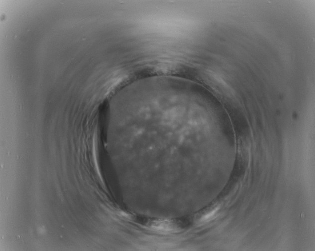 X0000088030127200705182035