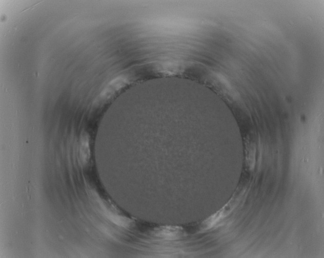 X0000088030128200705182035