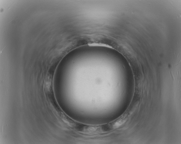 X0000088030129200705182035