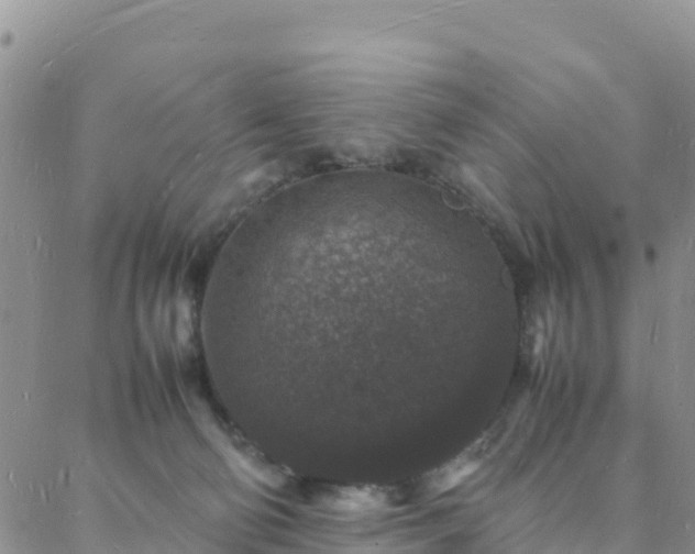 X0000088030130200705182035