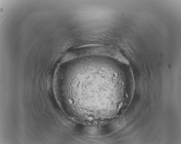 X0000088030131200705182035