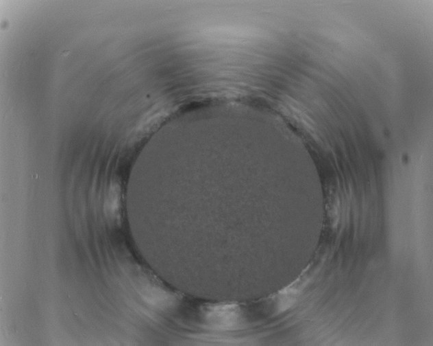 X0000088030132200705182035