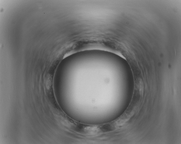 X0000088030133200705182035