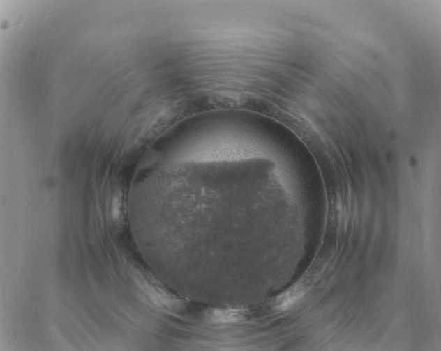 X0000088030134200705182035