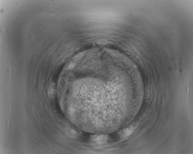 X0000088030135200705182035