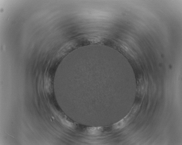 X0000088030136200705182035