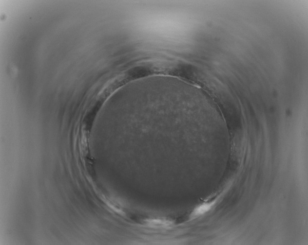 X0000088030137200705182035