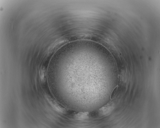 X0000088030138200705182035