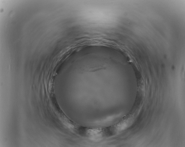 X0000088030139200705182035