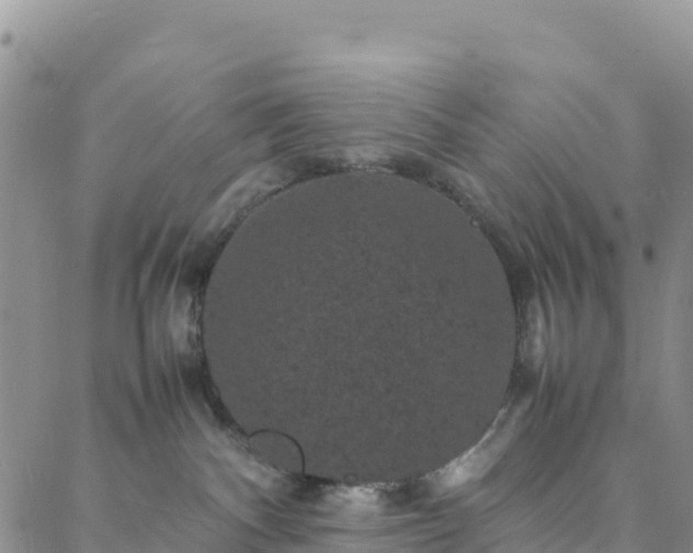 X0000088030140200705182035