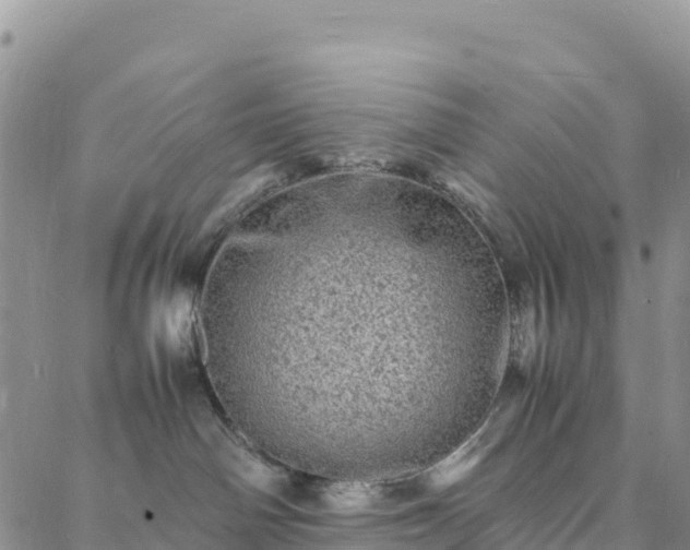 X0000088030142200705182035