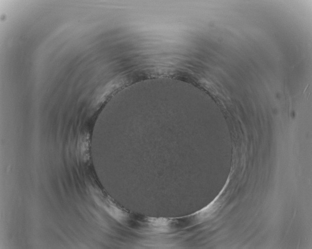 X0000088030144200705182035